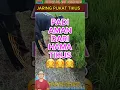 BASMI HAMA TIKUS DI SAWAH