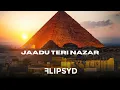 Download Lagu Jaadu Teri Nazar x Cola x Masai // This Is Flipsyd // Afro Desi