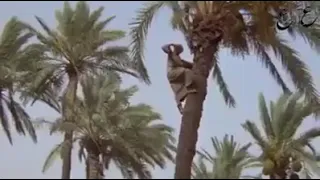 صلي على سيدنا محمد عدد حبات الرمل 