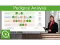 Pedigree Analysis Dominant Recessive Patterns - Genetics Lecturio