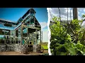 The Best Little Greenhouse in Texas