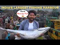 Download Lagu Vizag Fishing Harbour 😱 | India's Largest Fishing Port | Fishing Harbour Visakhapatnam