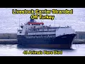 Download Lagu Livestock Carrier Stranded Off Turkish Coast as Activists Demand Action.
