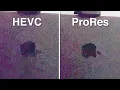 Why Shoot ProRes on the iPhone 13 Pro Real-world differences