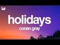 Download Lagu Conan Gray - Holidays (Lyrics)