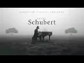 Best of Schubert - Classical Music Gems