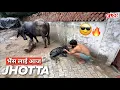 Download Lagu घर आई एक ओर बड़ी खुशखबरी|