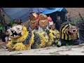 Lagu Gebyar Tari Garuda \u0026 Macanan #jaranan Lereng Cawan Langgeng Budoyo Live Talun Kenjo, 26/06/2025.