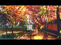 Lagu Autumn Breeze [Japanese Music] Nostalgic Soothing Music that feels like the Autumn of Japan