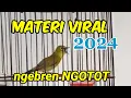 Download Lagu PAKE MASTERAN INI❗biar MATERI PLECI MU tidak ketinggalan ZAMAN ‼️