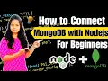 How to Connect Node js to MongoDB Database using Mongoose NodeJS MongoDB for Beginners from Scratch