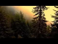 Download Lagu Kalmankantaja - Varjon ja tulen jumala