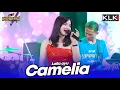 Download Lagu CAMELIA - LAILA AYU - LIVE SIMPATIK MUSIC KLK AUDIO - PASURUAN