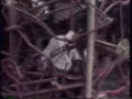 R.E.M.  Radio Free Europe video original version