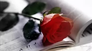 لما نكون سوا وائل كفوري انا حدك برتاح كتير Wael Kfouri 