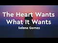 Lagu The Heart Wants What It Wants - Selena Gomez (Lyrics)
