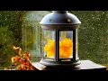 8 HOURS of Relaxing Music with Rain - Relax,Sleep,Meditation,Spa,Reiki,Study,Chillout