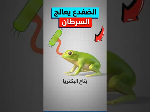 العلماء عملوا حقنه بكتيريا مستخلصة من ضفدع خلصت على السرطان بنسبه 100%🤯‼️ #shorts