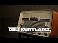 Ilyas Ozturk - Deli Kurtlariz