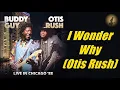 Otis Rush - I Wonder Why [Live With Buddy Guy] (Kostas A~171)