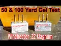 Winchester Super X Dyna Point 22WMR Ballistic Gel Test at 50 100 Yards - 22 Magnum