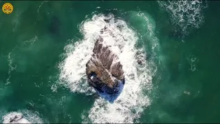                         سألمس شفائي دندنها