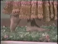 Brooke Shields walking bare feet on broken glass Circus of the Stars