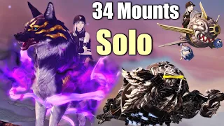 34 FFXIV Mounts You Can Farm SOLO Dragons Wolves Bathtubs etc