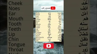 اعضاء الجسم بالانجليزي تعلم اللغة الإنجليزية من الصفر انجليزي 