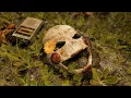 [FNAF/S2FM] Dream Sweet In Sea Major by @hawaiipartii (realism test/short)