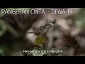 Pangeran Cinta - Dewa 19 (Lirik)