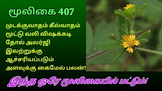 Download கதம்பம் செடி மூலிகை | kathambam herbal | Sticky weed | Sigesbeckia Orientalis | அலசல் | Alasal MP3