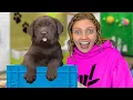 I Went SHOPPING FOR A NEW PET THEN THIS HAPPENED