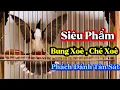 Lagu THANH LÝ SIÊU PHẨM LẬT CẦU BUNG XOÈ ĐẤU XOÈ CHẠY CẦU , PHÁCH ĐÁNH TÀN SÁT GĂM LẬT CHÉ XOÈ BUNG XOÈ