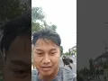 Download Lagu Si man Burung jalak kebo belajar terbang