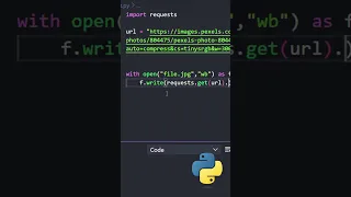 Python download files with requests