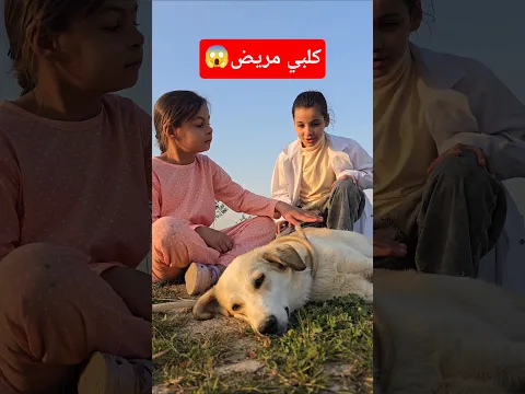 جناوي كلبها 🐕 مريض وجابت الدكتوره عليه شوف النهاية😳 #اكسبلور #funny #تيك_توك #shorts #داوودالمهاجر