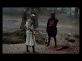 Tis but a scratch Meme