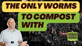 The Only Worms You Can Use for Vermicomposting