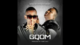 senzokhaya isgqila se gqom ft biggy prod tonic jazz official audio 