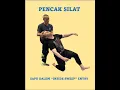 Lagu Pencak Silat: Sapu Dalem \