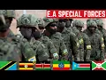 Download Lagu 7 East African Most Feared Special Forces