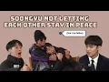 Download Lagu Hoshi not letting Mingyu stay in peace[Don'tLie Edition]