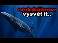 Lagu NIC NA VELRYBÁCH NENÍ NORMÁLNÍ…