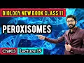 Peroxisomes Class 11 Biology Explained Structure Functions Importance New Book