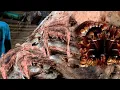 Download Lagu Nu bijna uitgestorven, de schoonheid van superharde redwood levert 1 miljard op in de zagerij