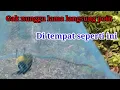 Download Lagu pikat burung sirtu tercepat #cipoh #sirtugacor