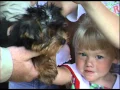 How to Adopt from Ft Wayne Animal Care Control
