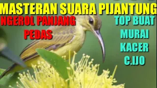 Download MASTERAN PIJANTUNG || GACOR NEMBAK TAJAM | TERBARU 100% ASLI || (MASTERAN) MP3