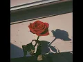 Am I Still That Special Man?(Cover)